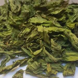 نعناع بلدي أوراق